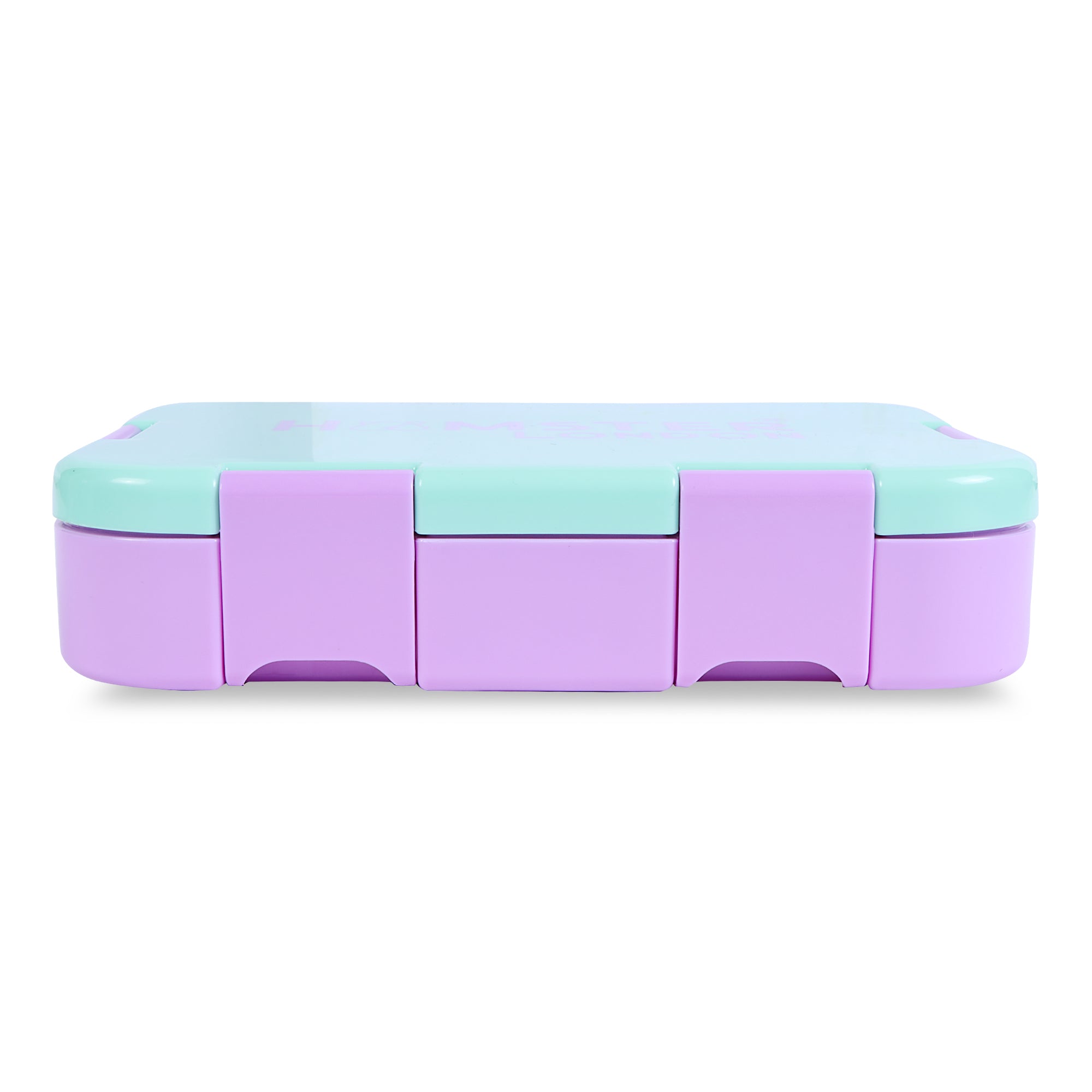Hamster London Bento Box Aqua Purple