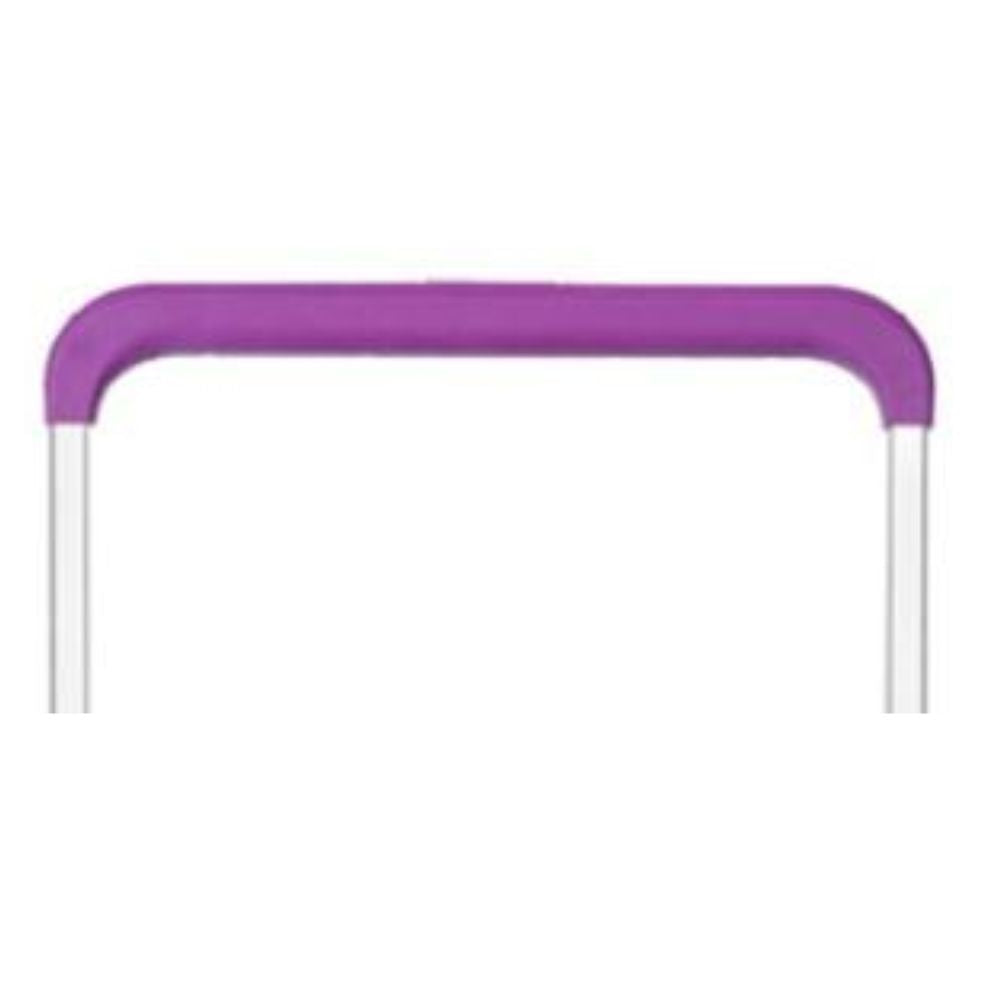 Hamster London Ted H Luggage Combo Hot Pink – 20in + 14in