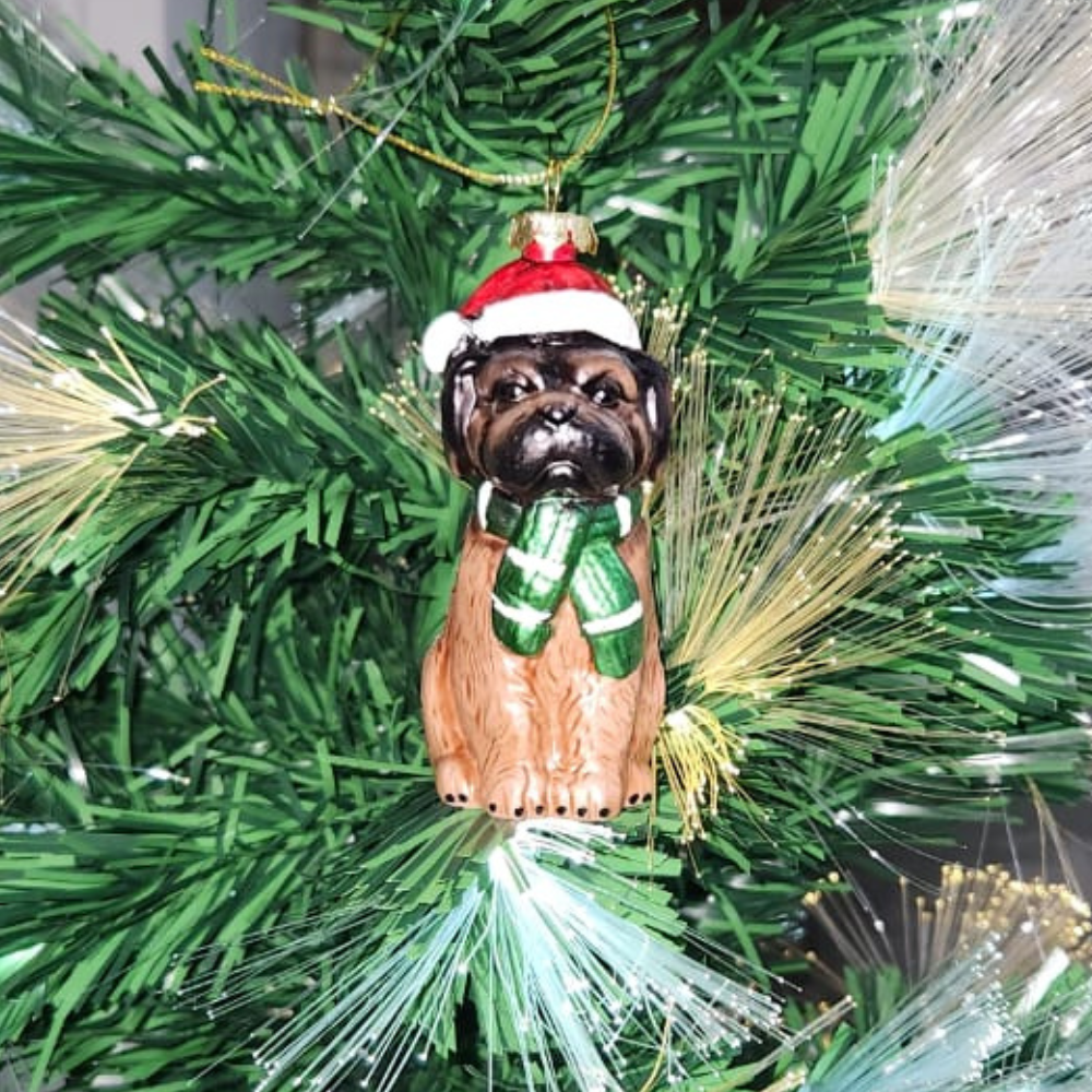 Hamster London Holy Hanging Dog Black Face